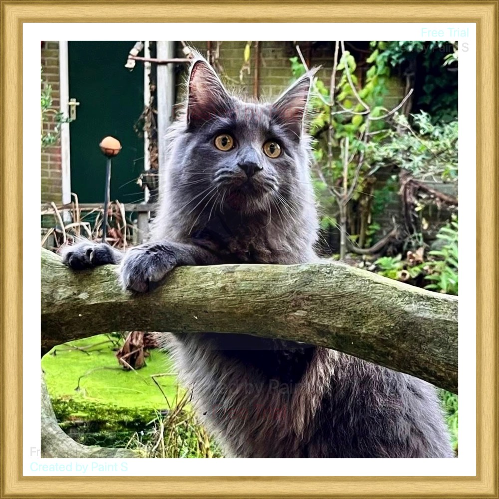 Voorbeeld CSS plaatje floaten