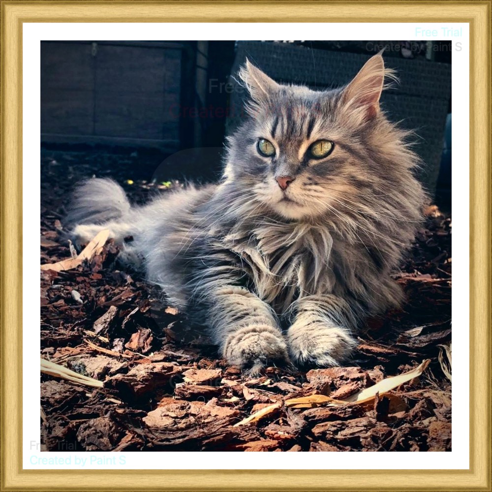 Voorbeeld CSS plaatje floaten